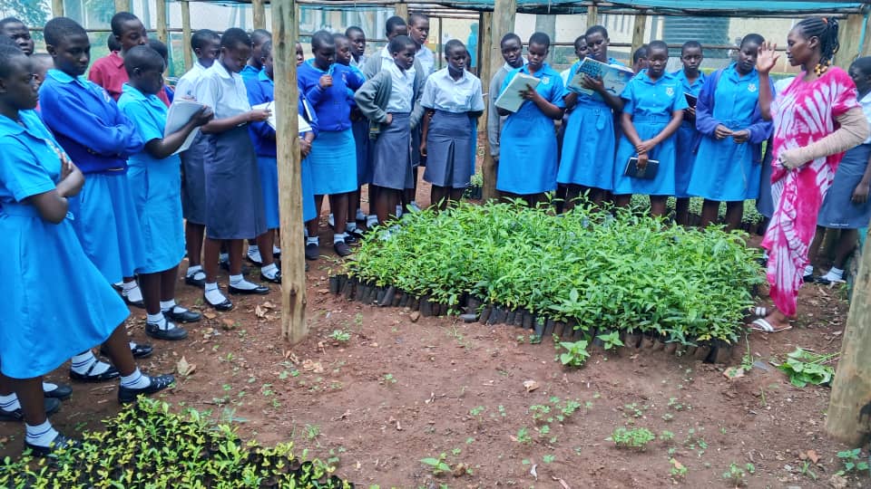 Students receiving nursery training at a Greening Schools Initiative site